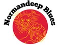 Normandeep Blues Promotion