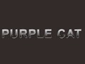PURPLE CAT Primitive Electric Blues